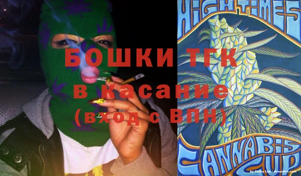 индика Нефтекумск
