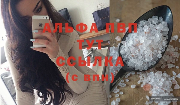 индика Нефтекумск