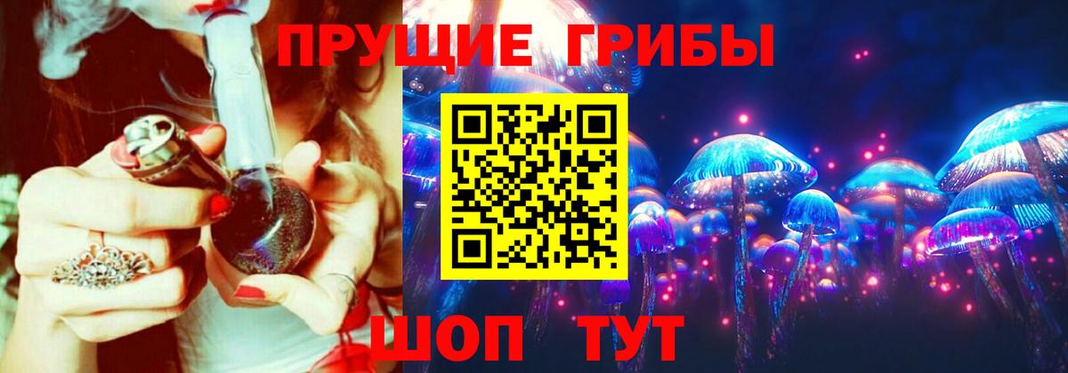 Галлюциногенные грибы Psilocybe Юрга
